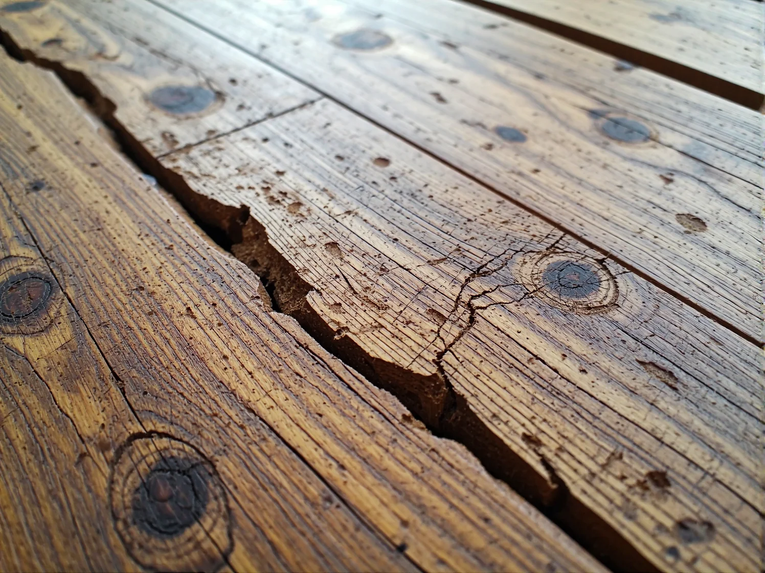 Zbliżenie na dłoń polerującą rysę na drewnianym stole przy użyciu połówki orzecha włoskiego.